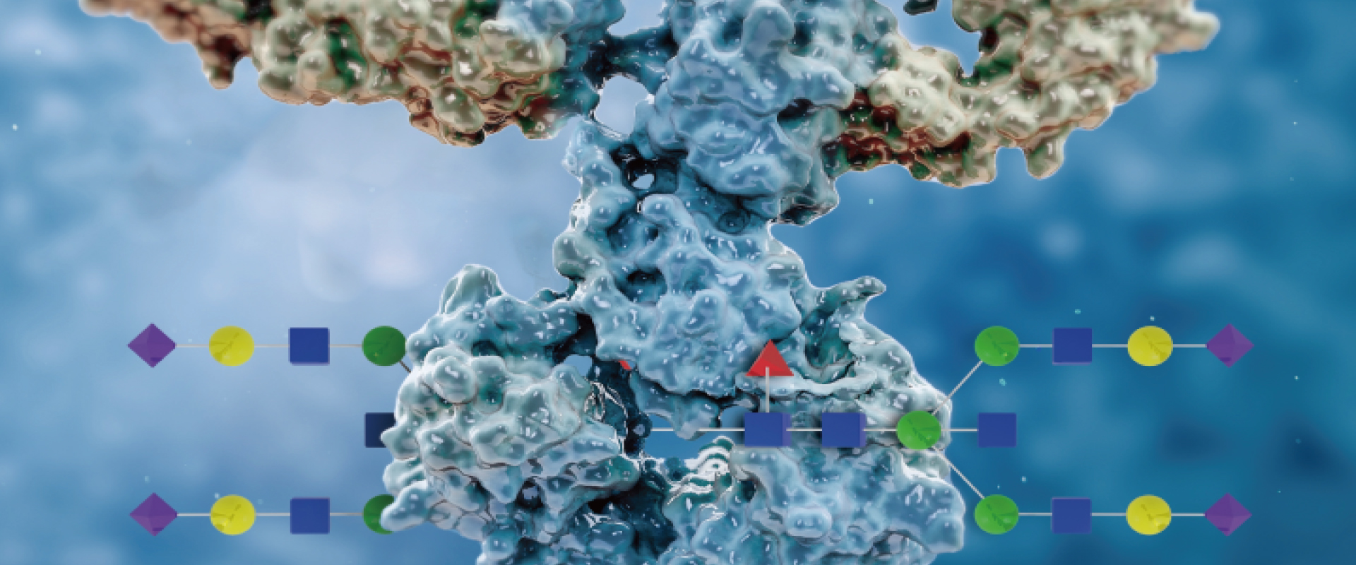 糖基医学 & 旁中心法则