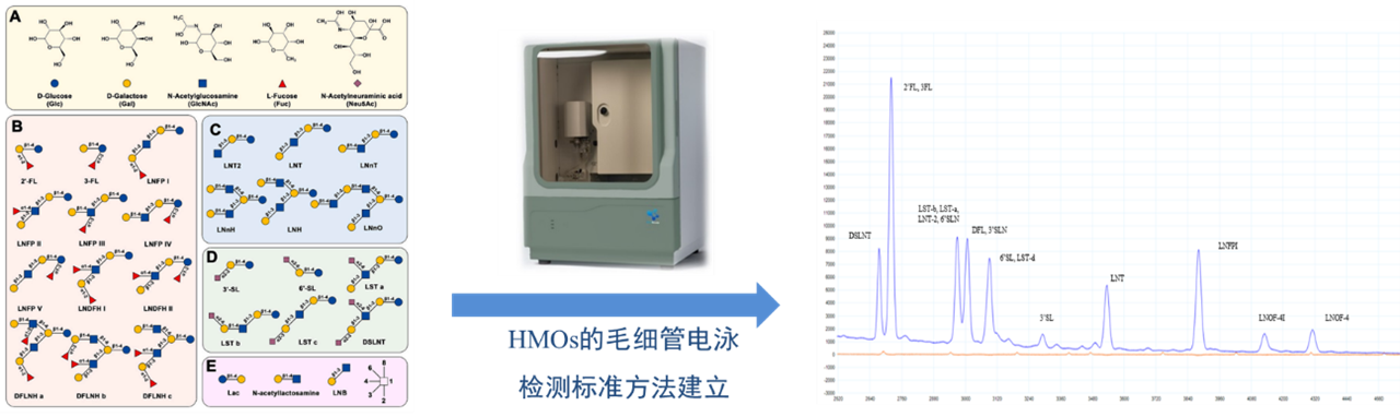 百洋唐科获批北京市2025年度合成生物产业培育专项支持项目